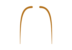 Bigode chinês
